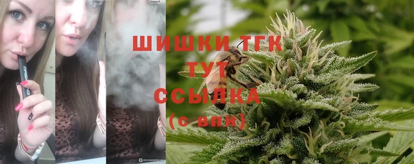 дмт Балабаново