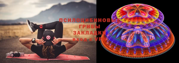 дурь Арсеньев