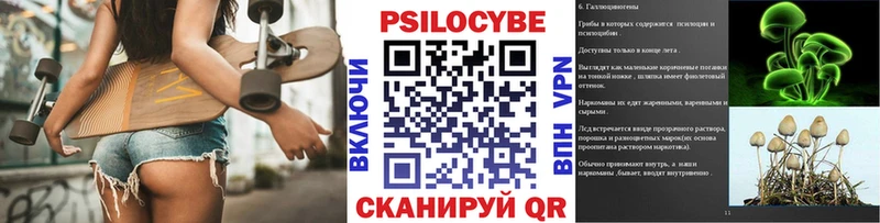 Галлюциногенные грибы Psilocybe  даркнет сайт  Сертолово 